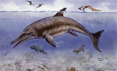疑似地球生命起源的南極“死亡冰柱”,能瞬間冰凍海洋生物