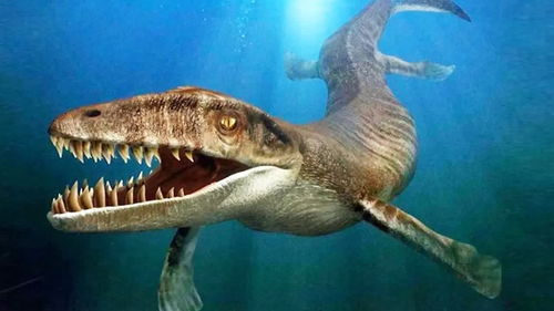 4種可匹敵巨齒鯊的海洋生物,強(qiáng)悍的巨齒鯊究竟會(huì)被誰(shuí)打敗