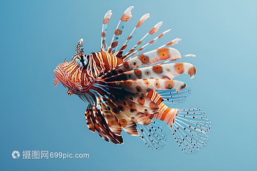 海洋一只獅子魚