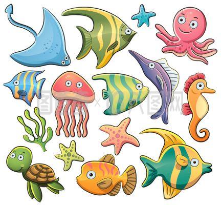 海洋生物魚