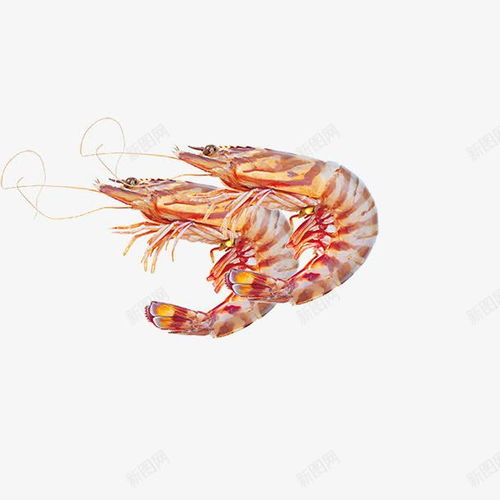 海鮮海洋生物水產(chǎn) 創(chuàng)意素材 海鮮水產(chǎn)素材